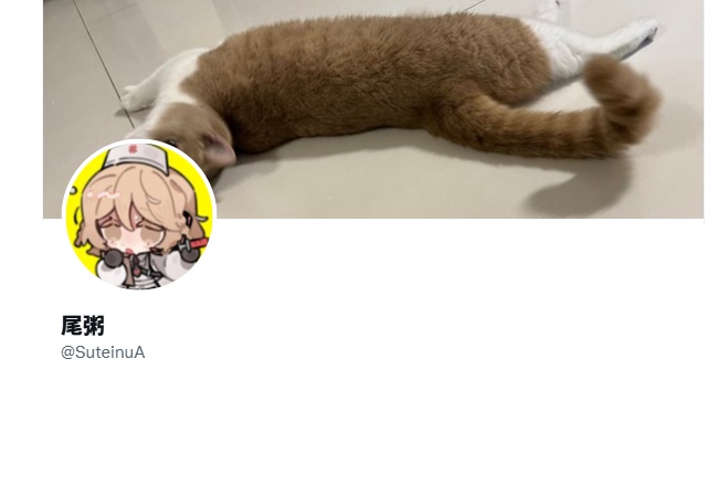https://x.com/SuteinuA
