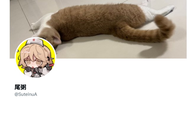https://x.com/SuteinuA